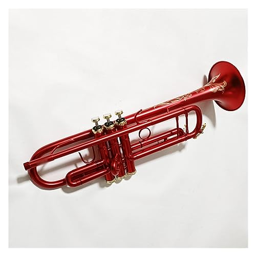 Bbトランペット 本体 41mzMj+0LSL.jpg